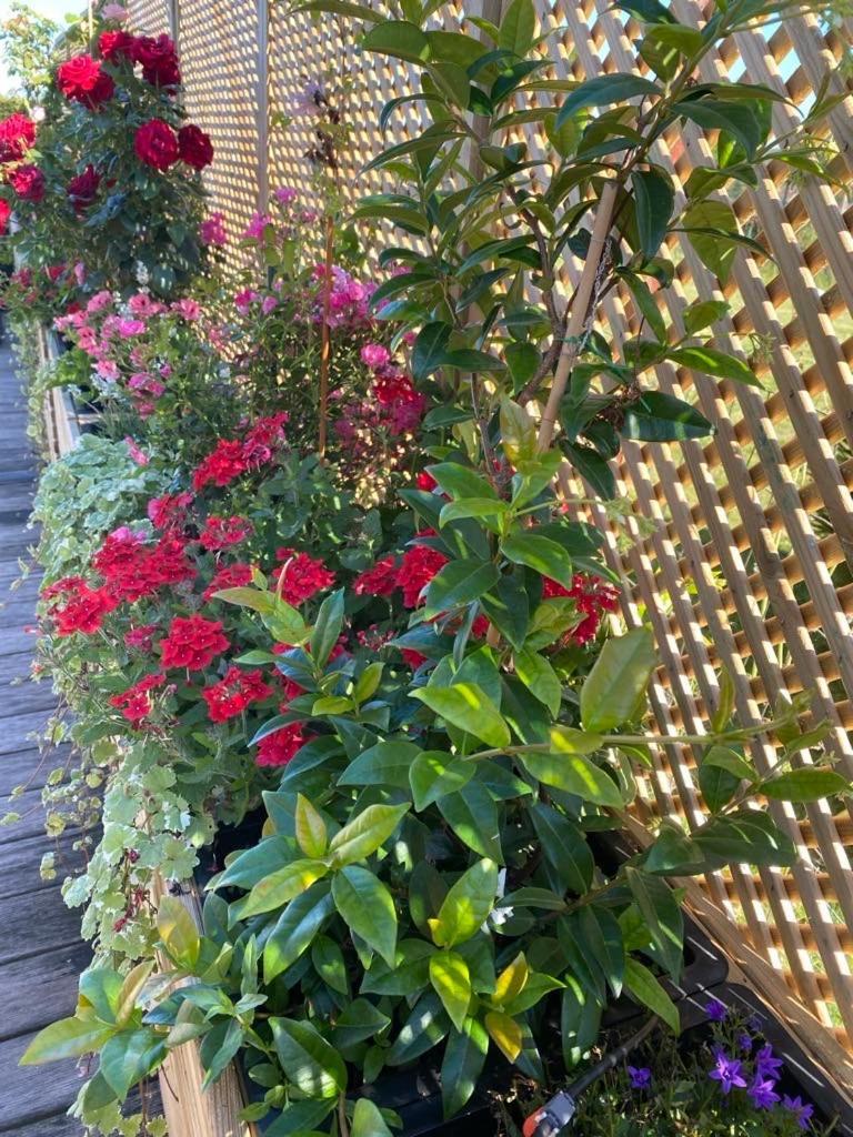 فندق Lauralys مونس المظهر الخارجي الصورة